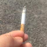 阿里嘎多南次郎头像