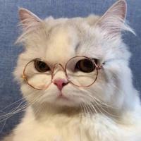 极客朝阳2e8头像