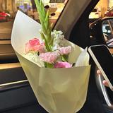 果C小姐头像