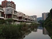 一个钟的个人资料头像