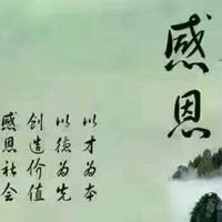 白新潮头像