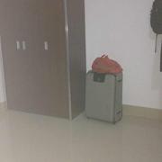 空军建军节495的个人资料头像