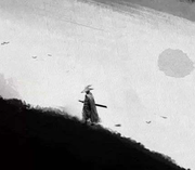 壹叶知秋的个人资料头像