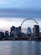 sharetown的个人资料头像