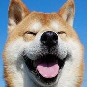 沙迪奥同学的个人资料头像