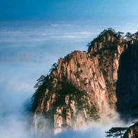 罗浮头像