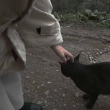 героин65头像