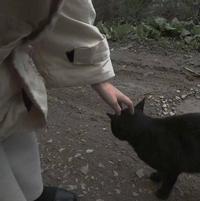 героин65头像