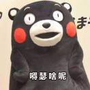 tc更菜的个人资料头像