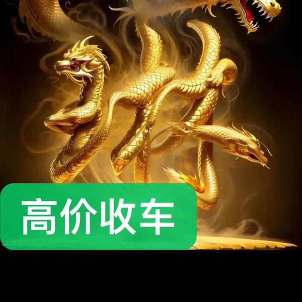 苍南御轩车行头像