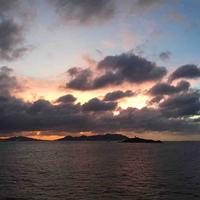 斑马斑马你快回家头像