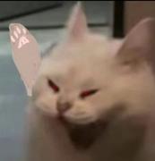 修仙界第一大佬的个人资料头像