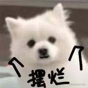 哈yo的个人资料头像