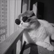 A王先森的个人资料头像