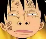 RulerWooder的个人资料头像