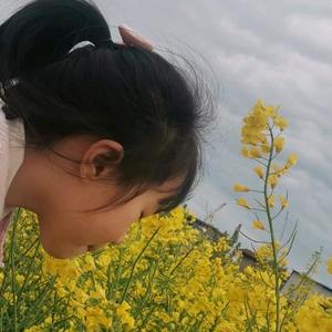 三片雪头像