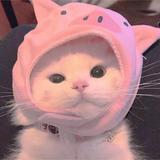 MR猫三岁头像