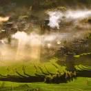 阿猪的个人资料头像