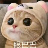 不要开奔跑的棺材头像