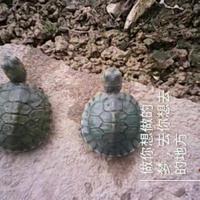 匆匆过客20220505头像