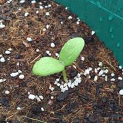 行走江湖的个人资料头像