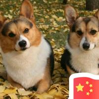 悦康志德华子头像