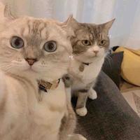 深渊也暖啊头像