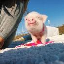 Rayyyyyyy的个人资料头像