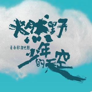 电影燃野少年的天空头像