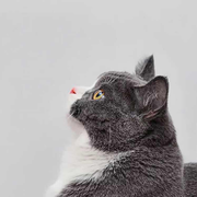 CHENBY_陈八一的个人资料头像