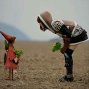 幸运的狼的个人资料头像