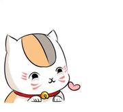 夏目的猫咪的个人资料头像