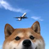 用户6356197606800头像