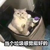 用户7314352941891头像