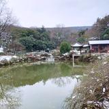 喵喵！头像