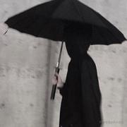 求道於盲的个人资料头像