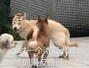 阿福打败了瓦龙的个人资料头像