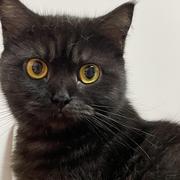 浩然人生的个人资料头像