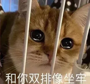 robbendev的个人资料头像