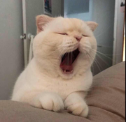 静静听着窗外雨声的个人资料头像