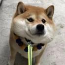 yxj不想说话的个人资料头像