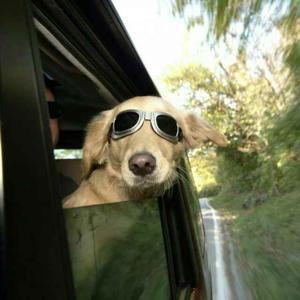 聊城睿捷汽车钥匙头像