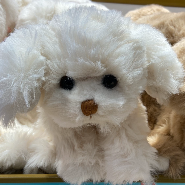 车这个爱聊头像