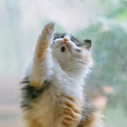 wormhole的个人资料头像