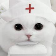 把你刻在代码里的个人资料头像