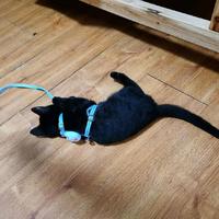 三楼的薄荷头像