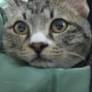 李寒的个人资料头像