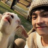 自强不息漂流瓶4c8头像