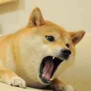 for君55050的个人资料头像