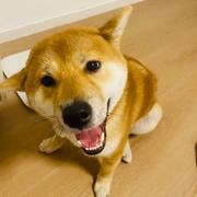 用户7215946611249的个人资料头像